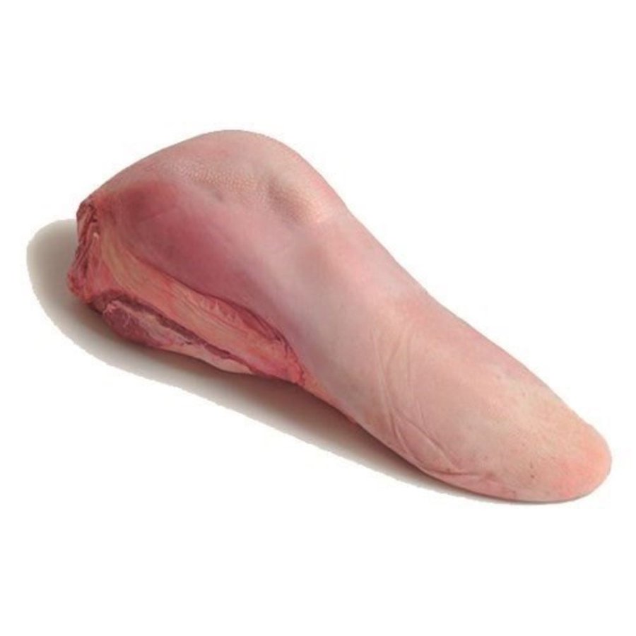 Língua Limpa