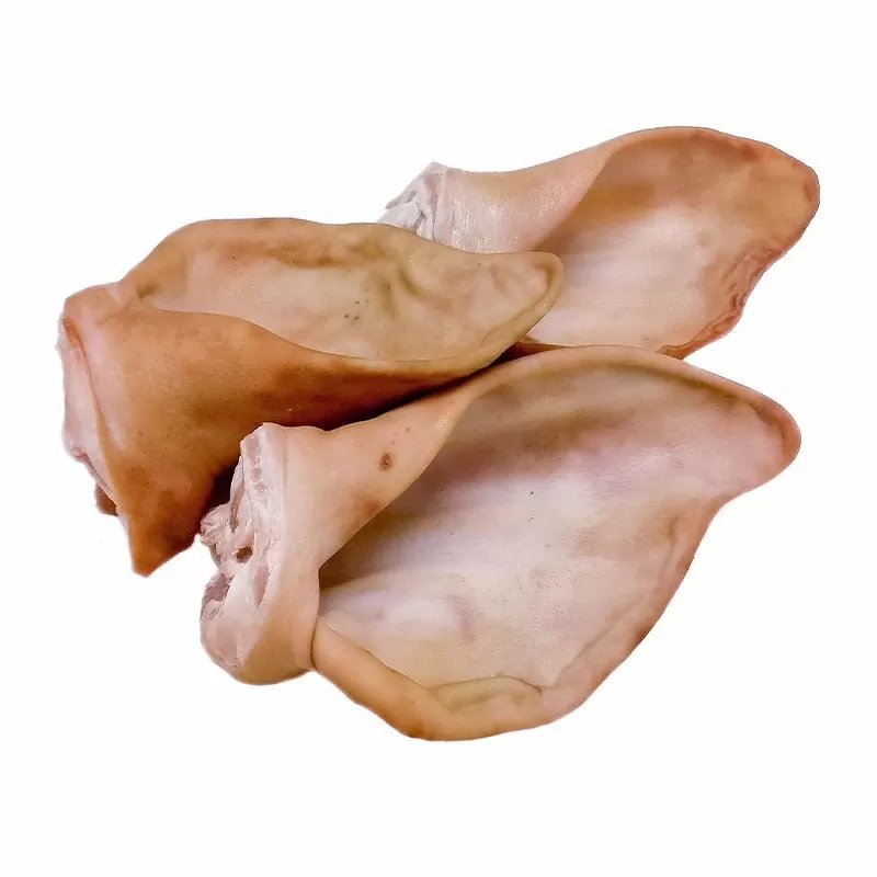 Orelha