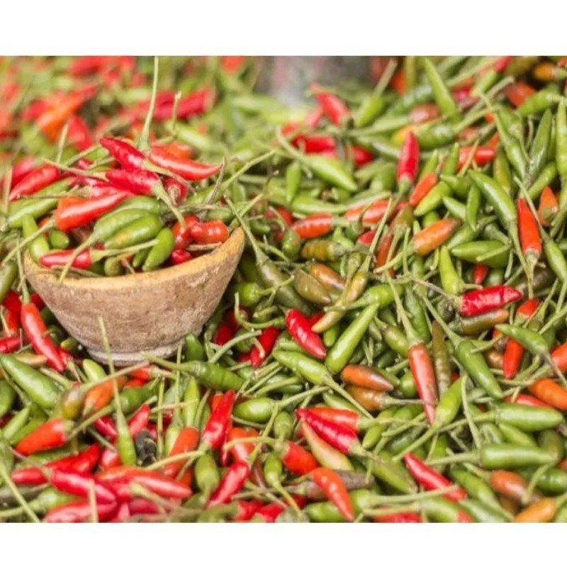Pimenta Malagueta 120 g Jhocan